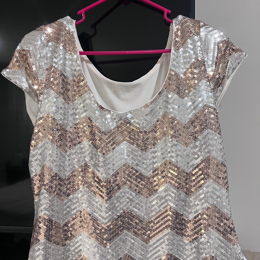 Sequin Chevron Dress in Silver and Gold